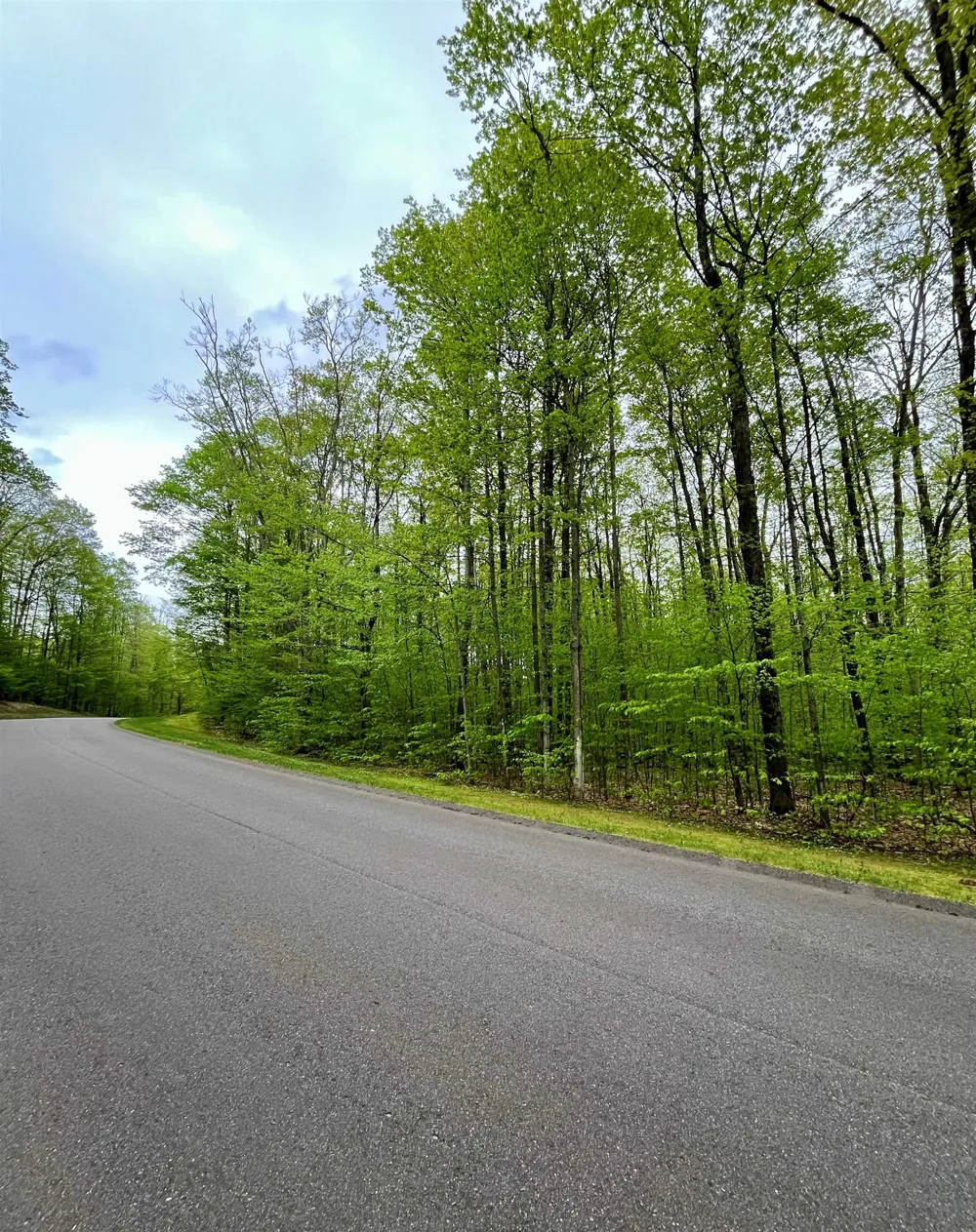 Troon South Custer Township, MI 49615