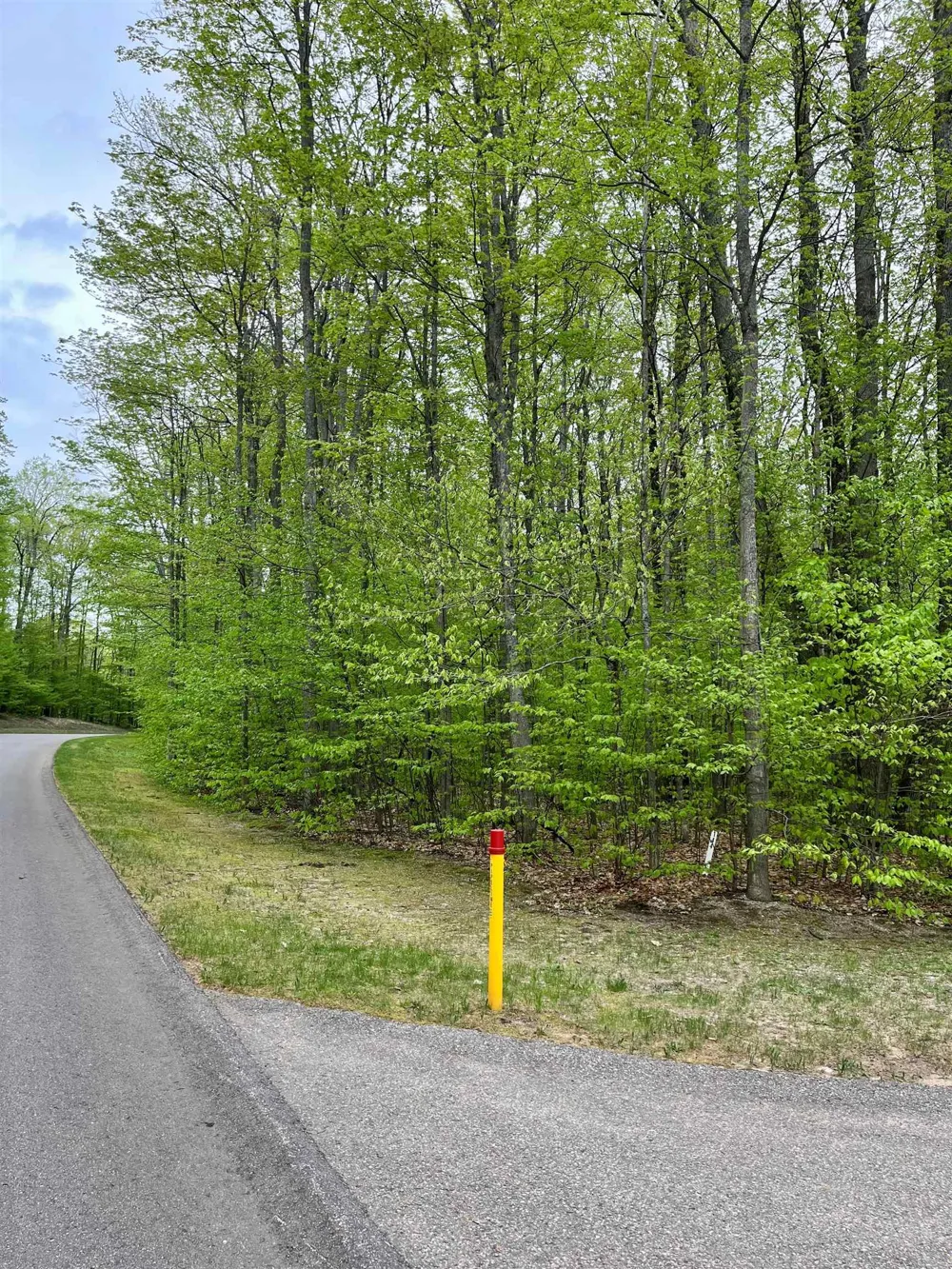 Troon South Custer Township, MI 49615