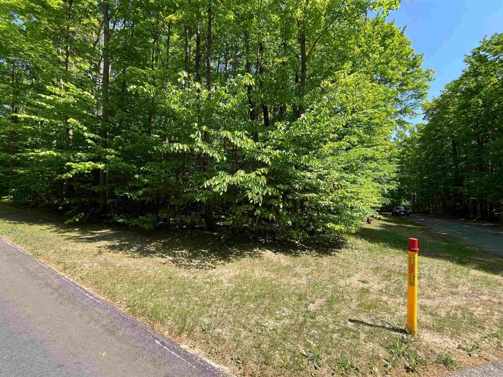 Troon South Custer Township, MI 49615