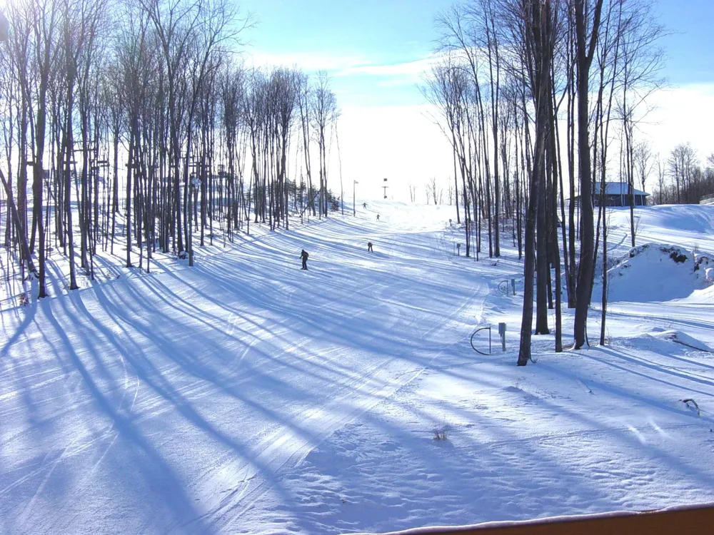 Troon South Custer Township, MI 49615