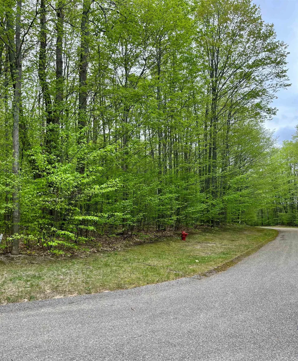Troon South Custer Township, MI 49615