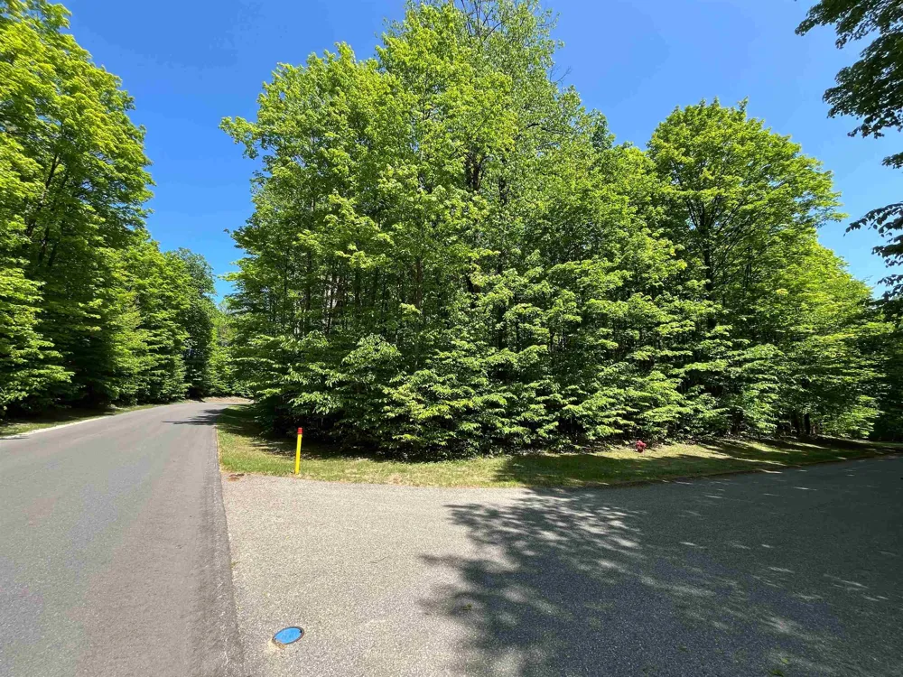 Troon South Custer Township, MI 49615