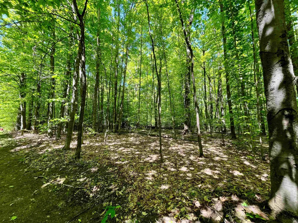 Troon South Custer Township, MI 49615