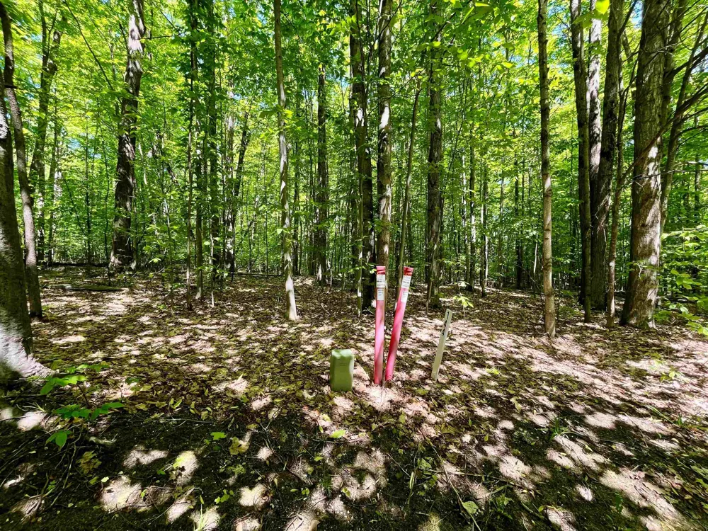 Troon South Custer Township, MI 49615