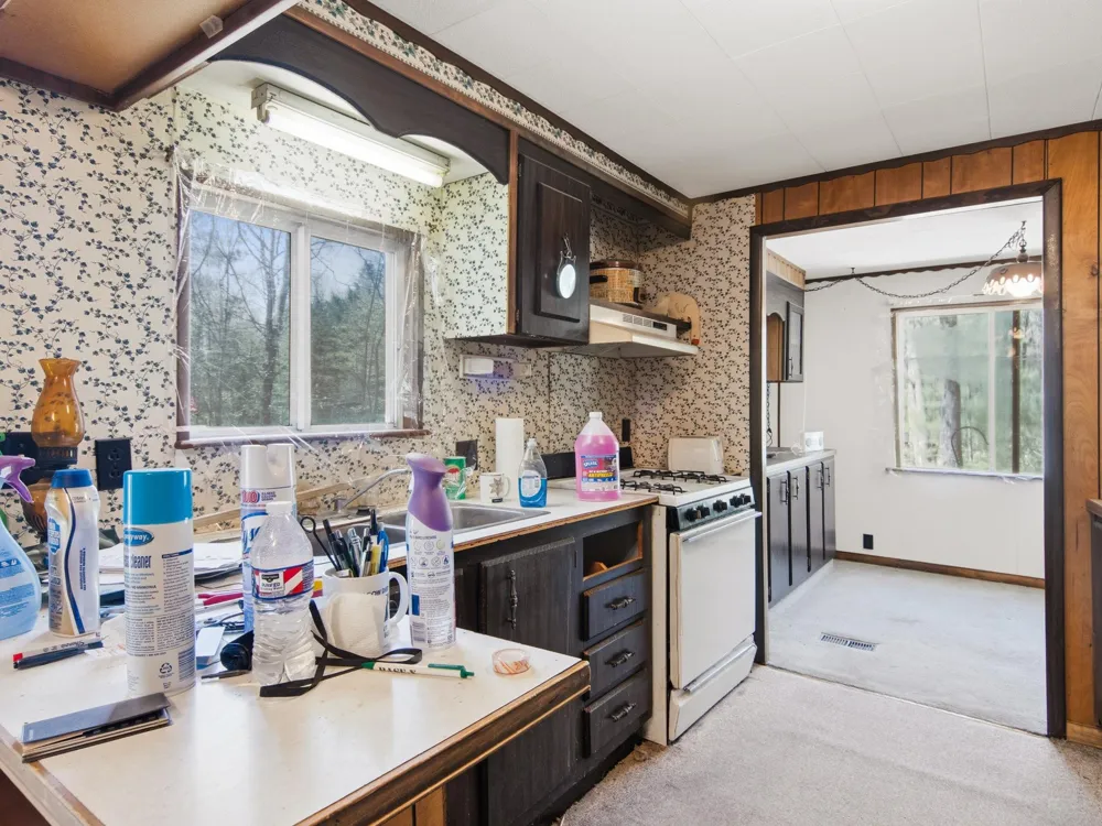262 E Bear Lake Road NE Bear Lake Township, MI 49646