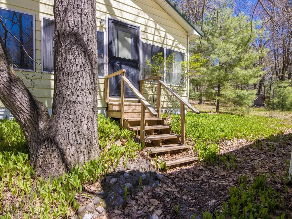 262 E Bear Lake Road NE Bear Lake Township, MI 49646