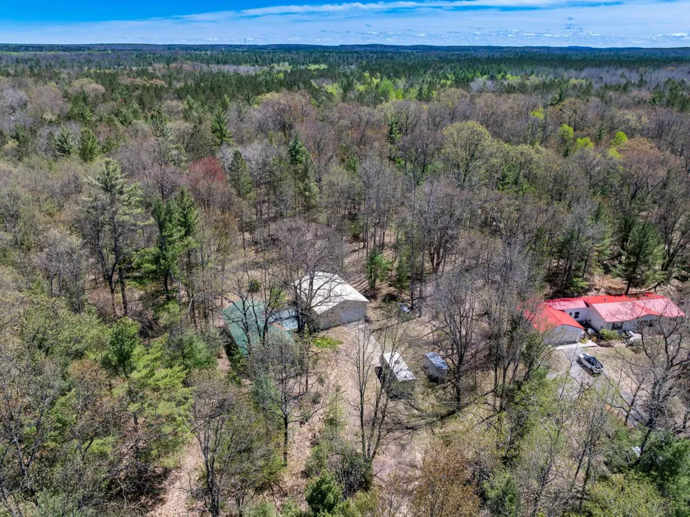 262 E Bear Lake Road NE Bear Lake Township, MI 49646