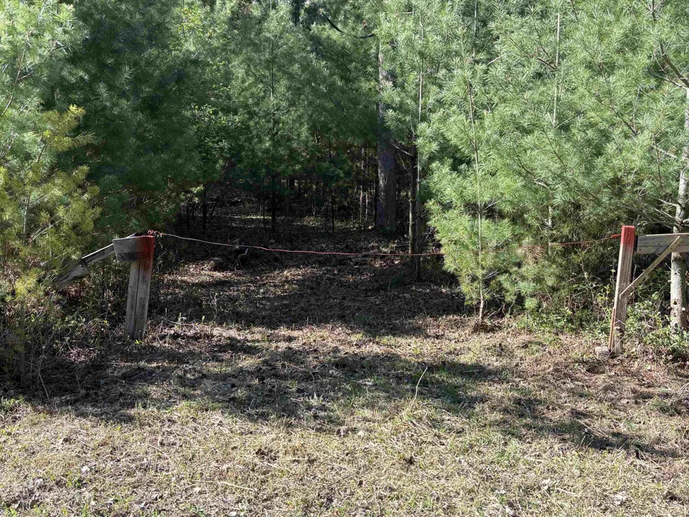 Miller Road Tawas Township, MI 48763