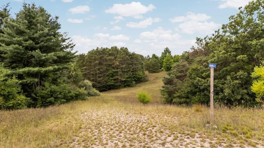 E Bingham Valley Drive Bingham Township, MI 49684