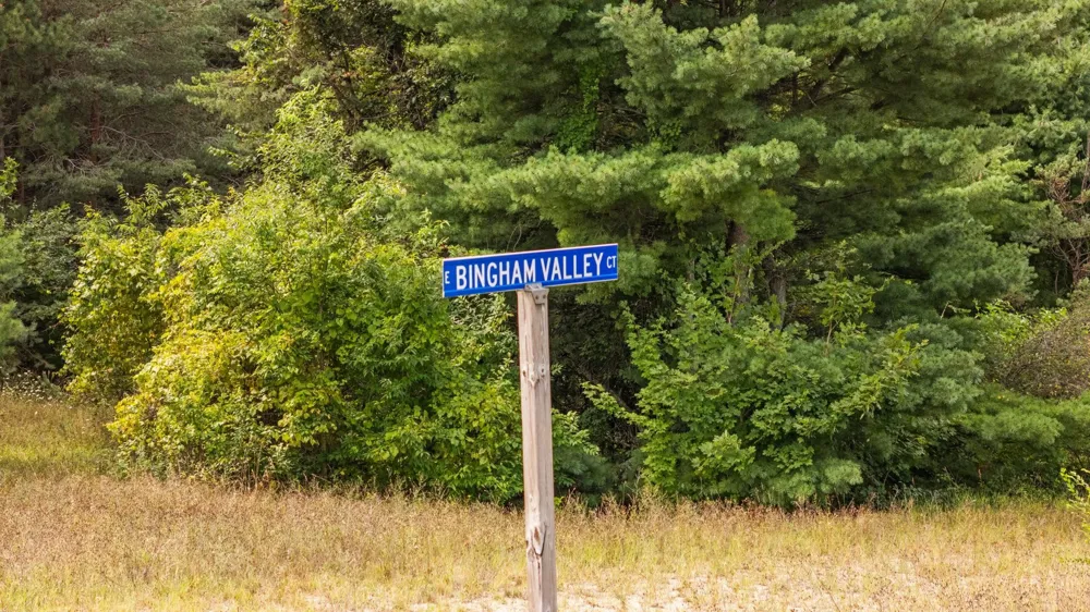 E Bingham Valley Drive Bingham Township, MI 49684