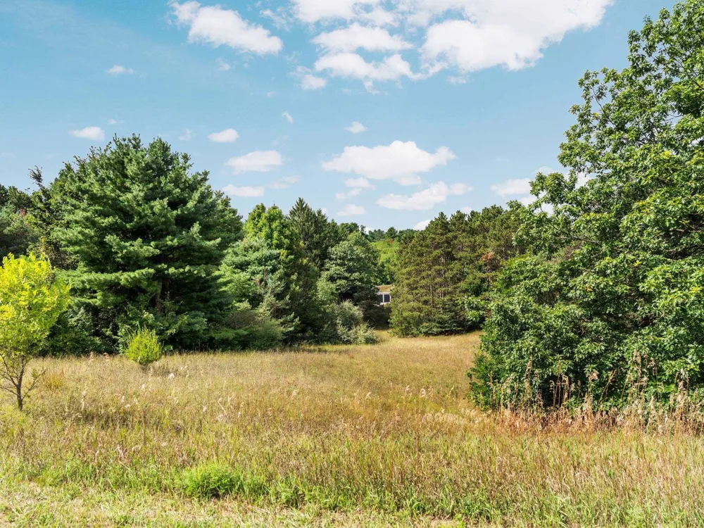 E Bingham Valley Drive Bingham Township, MI 49684