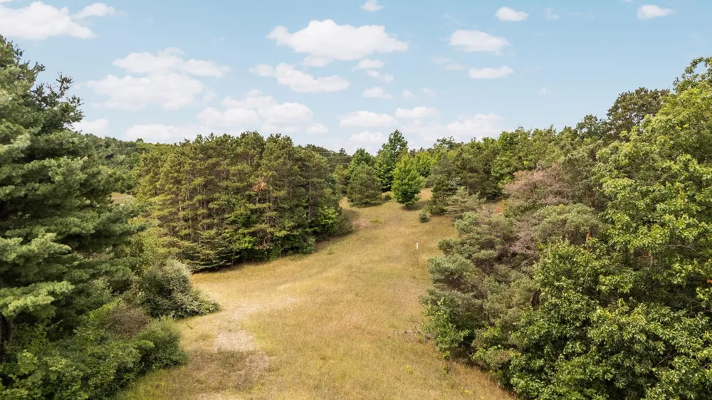 E Bingham Valley Drive Bingham Township, MI 49684
