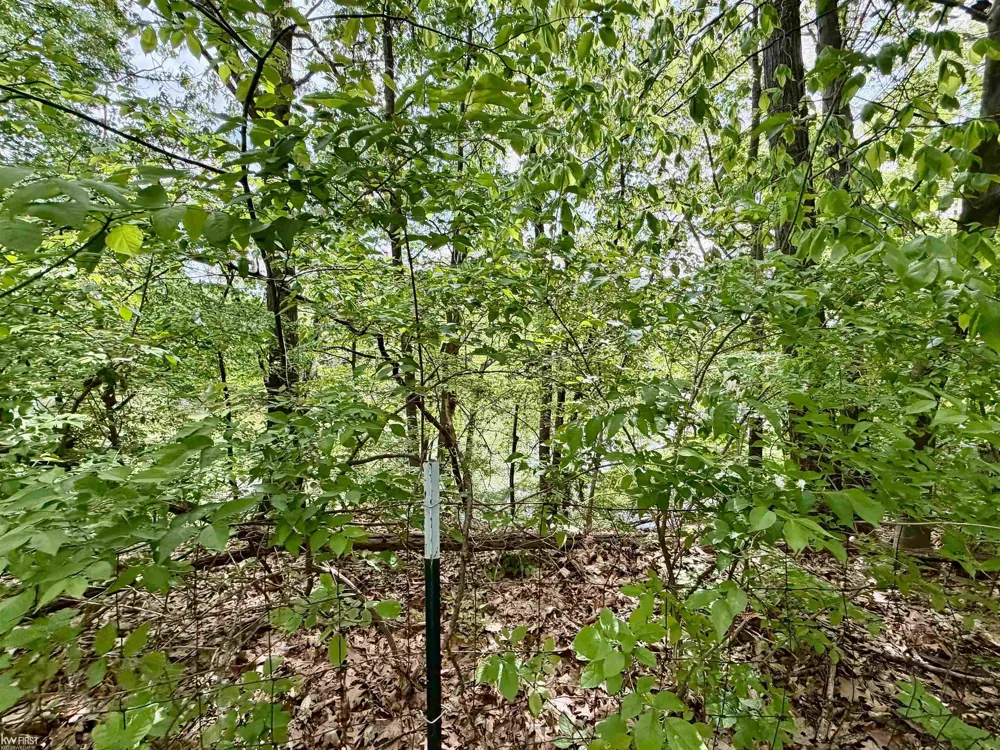7432 River Road Flushing Charter Township, MI 48433