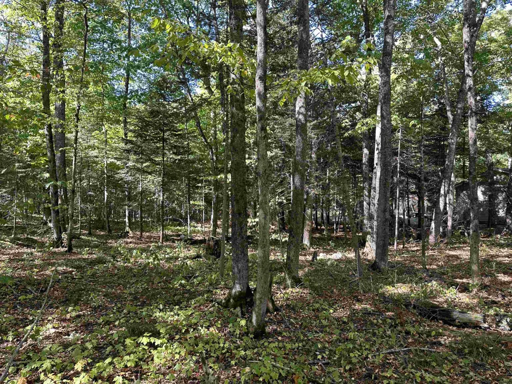 Kings Highway St James Township, MI 49782