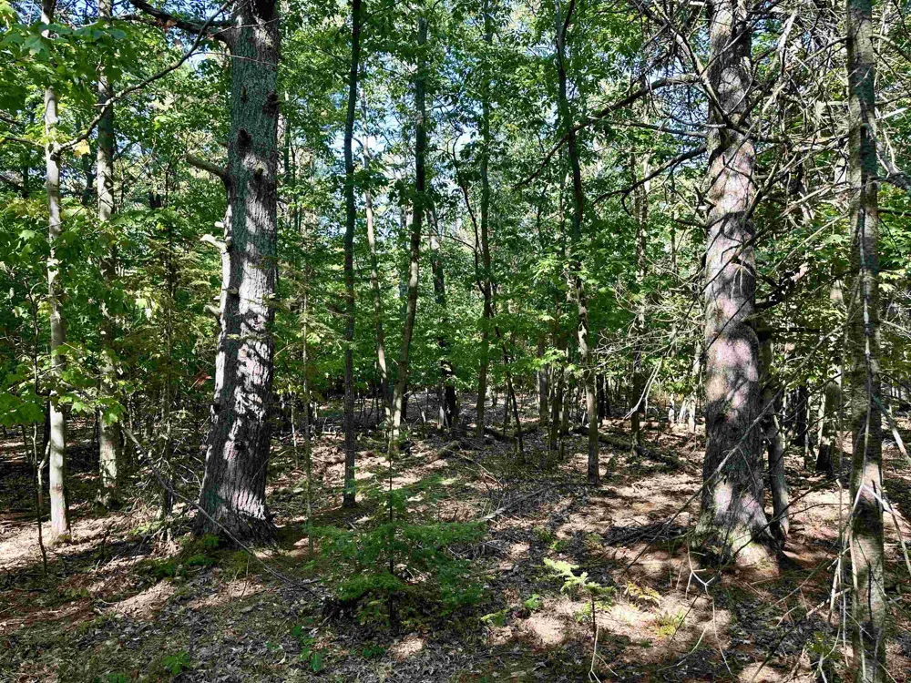 Kings Highway St James Township, MI 49782
