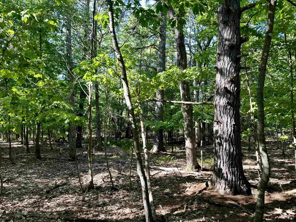 Kings Highway St James Township, MI 49782