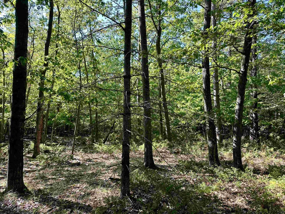 Kings Highway St James Township, MI 49782