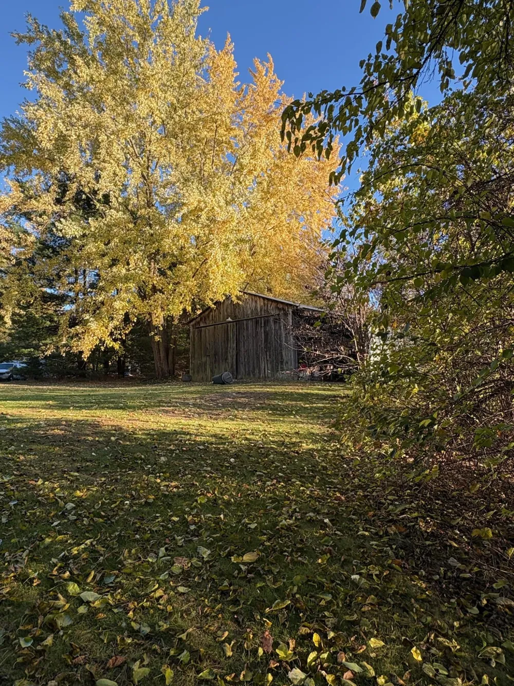 30417 US-12 Milton Township, MI 49120