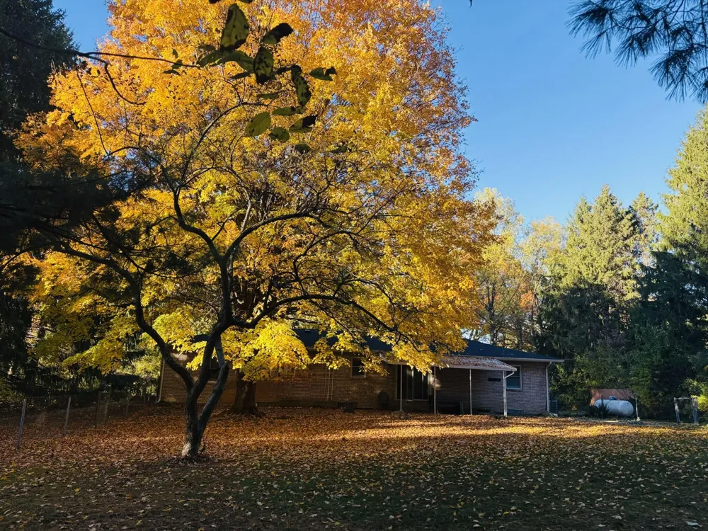 30417 US-12 Milton Township, MI 49120