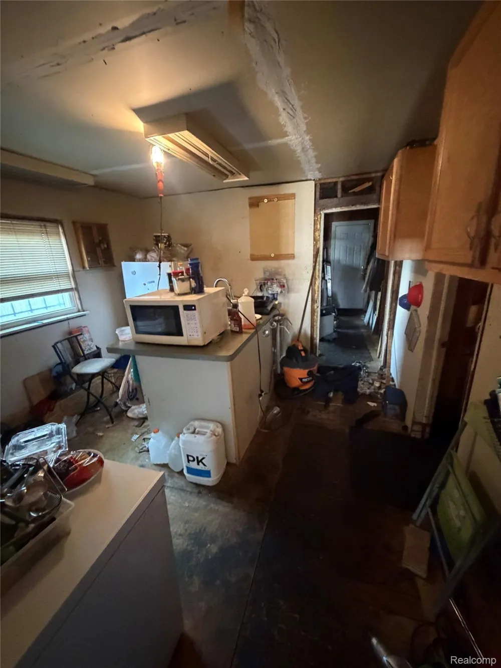 21385 Garden Lane Royal Oak Charter Township, MI 48220