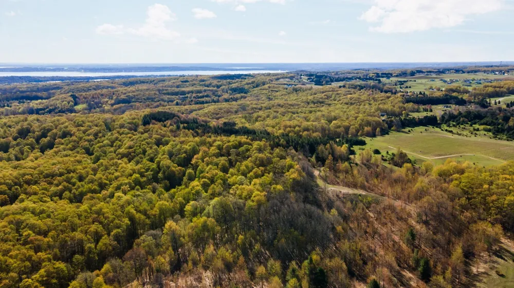 S Cottonwood Drive Elmwood Charter Township, MI 49684