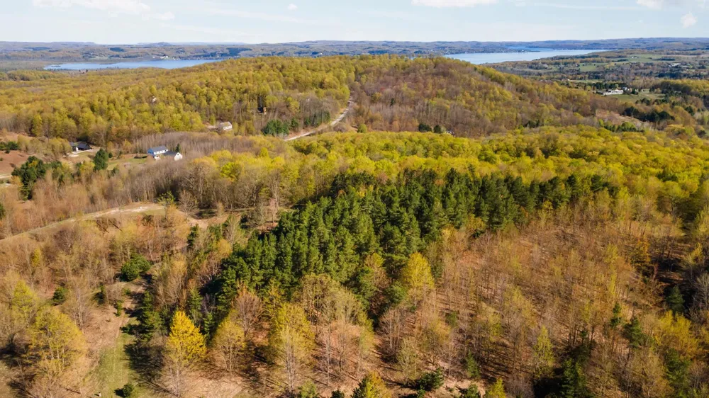 S Cottonwood Drive Elmwood Charter Township, MI 49684