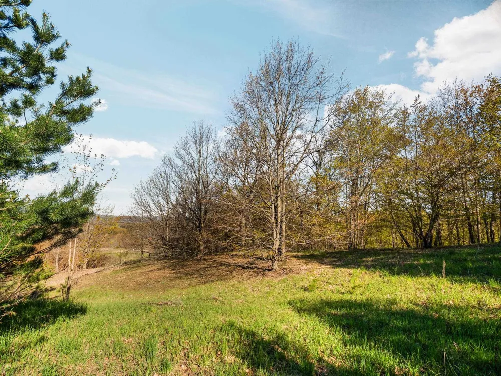S Cottonwood Drive Elmwood Charter Township, MI 49684