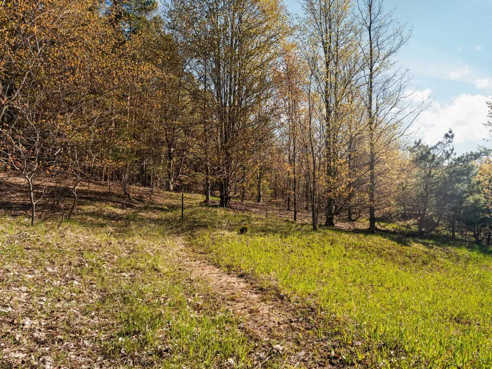 S Cottonwood Drive Elmwood Charter Township, MI 49684