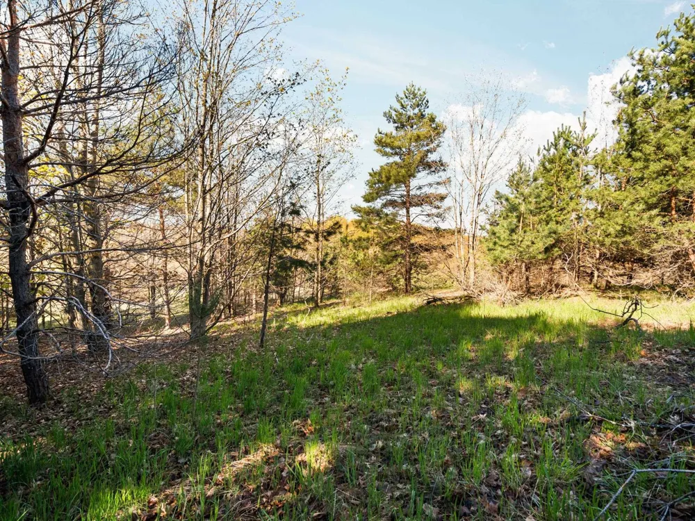 S Cottonwood Drive Elmwood Charter Township, MI 49684