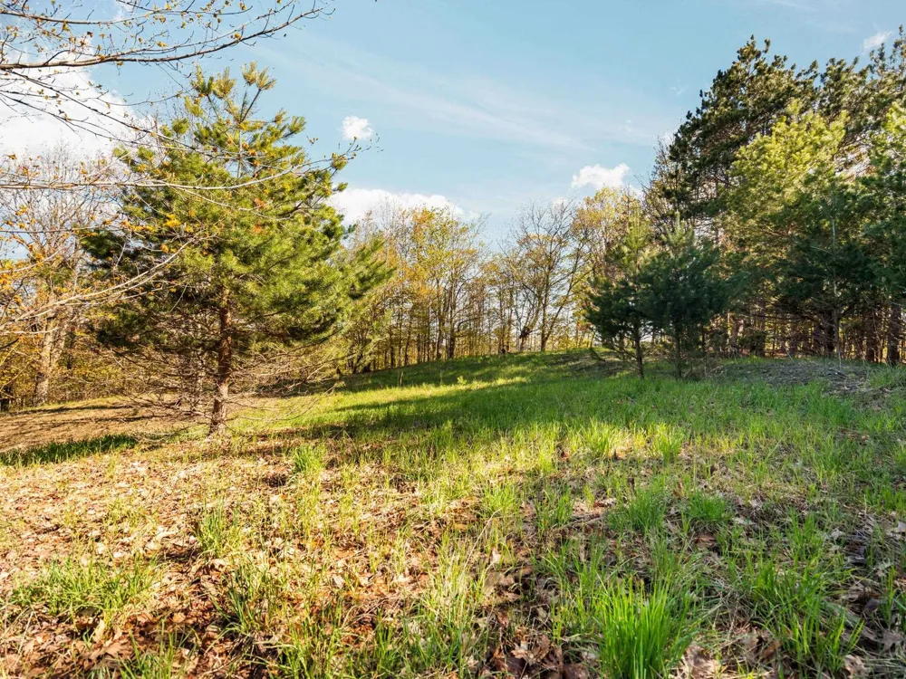 S Cottonwood Drive Elmwood Charter Township, MI 49684