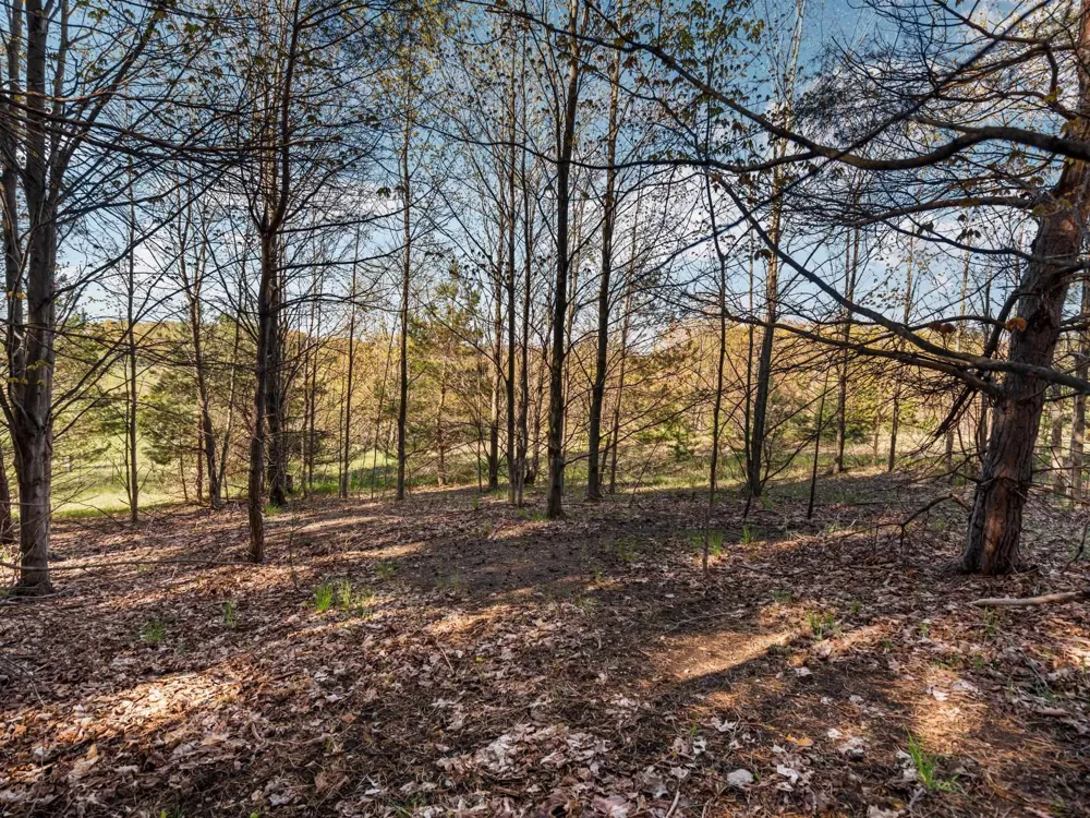 S Cottonwood Drive Elmwood Charter Township, MI 49684
