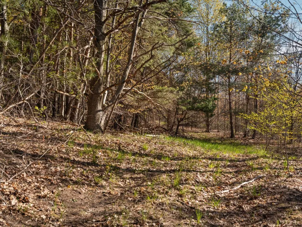 S Cottonwood Drive Elmwood Charter Township, MI 49684
