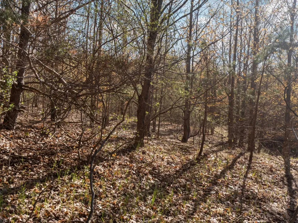S Cottonwood Drive Elmwood Charter Township, MI 49684