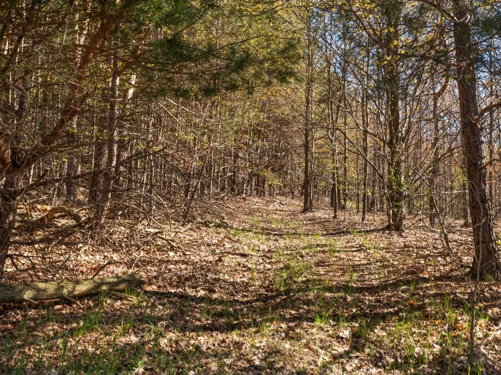 S Cottonwood Drive Elmwood Charter Township, MI 49684