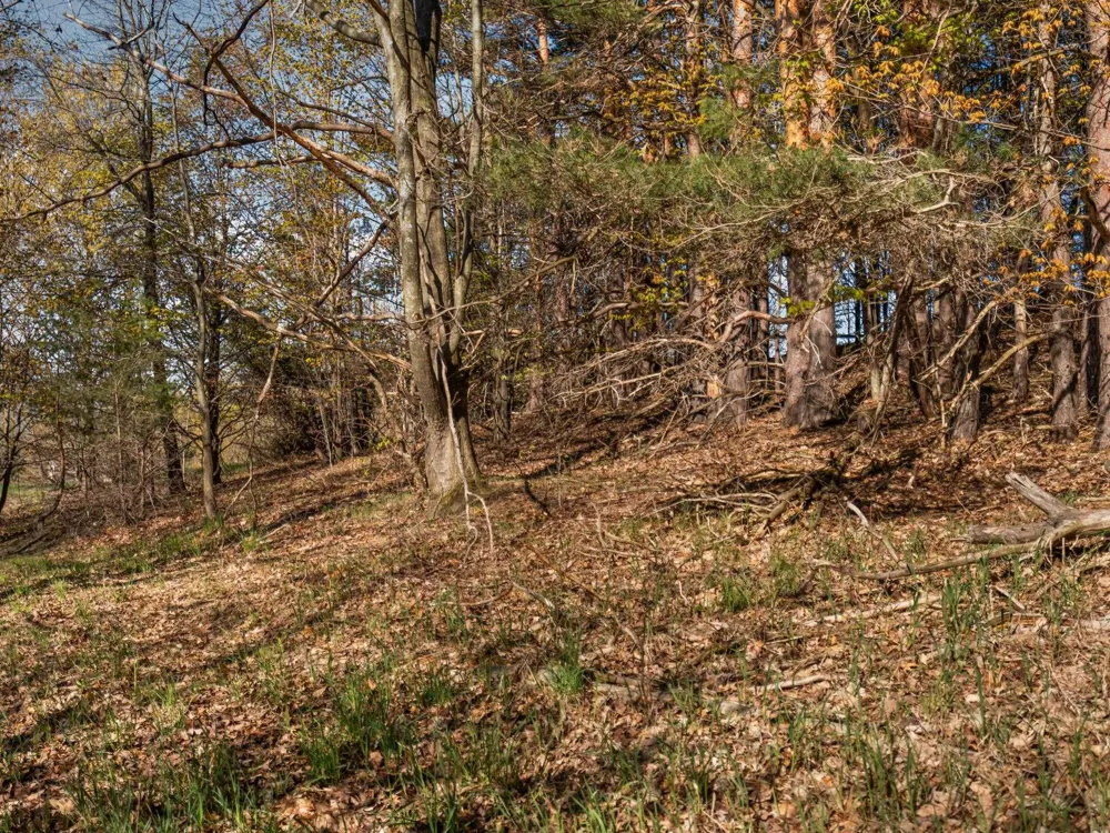 S Cottonwood Drive Elmwood Charter Township, MI 49684