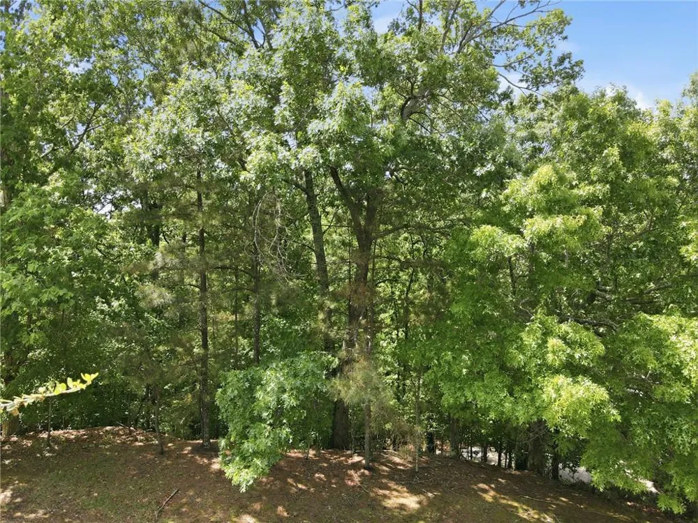 5505 Hampstead Way Johns Creek, GA 30097