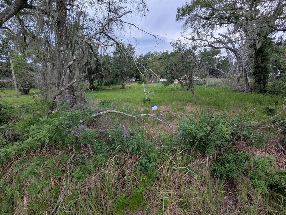 0 CENTRAL AVENUE Mulberry, FL 33860