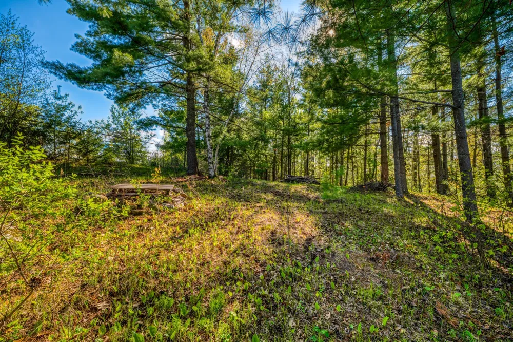 101 Summit Avenue W Walker, MN 56484