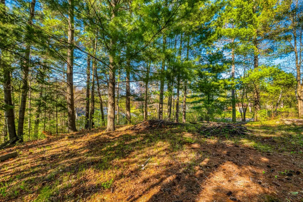 101 Summit Avenue W Walker, MN 56484