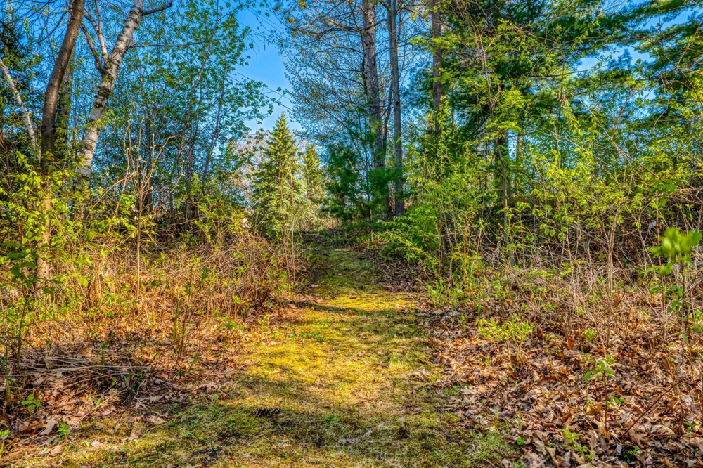 101 Summit Avenue W Walker, MN 56484