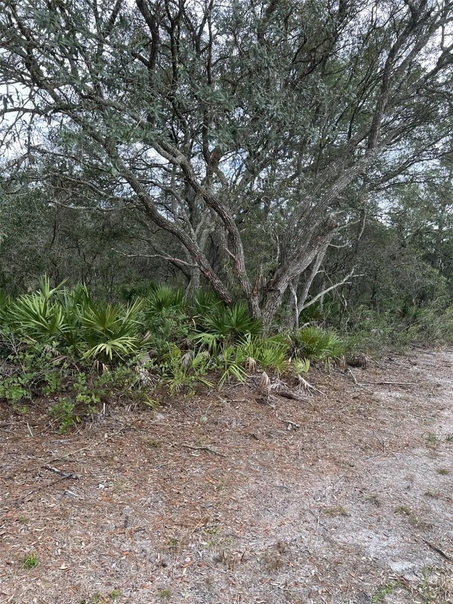 0 NE 144 COURT Fort Mc Coy, FL 32134