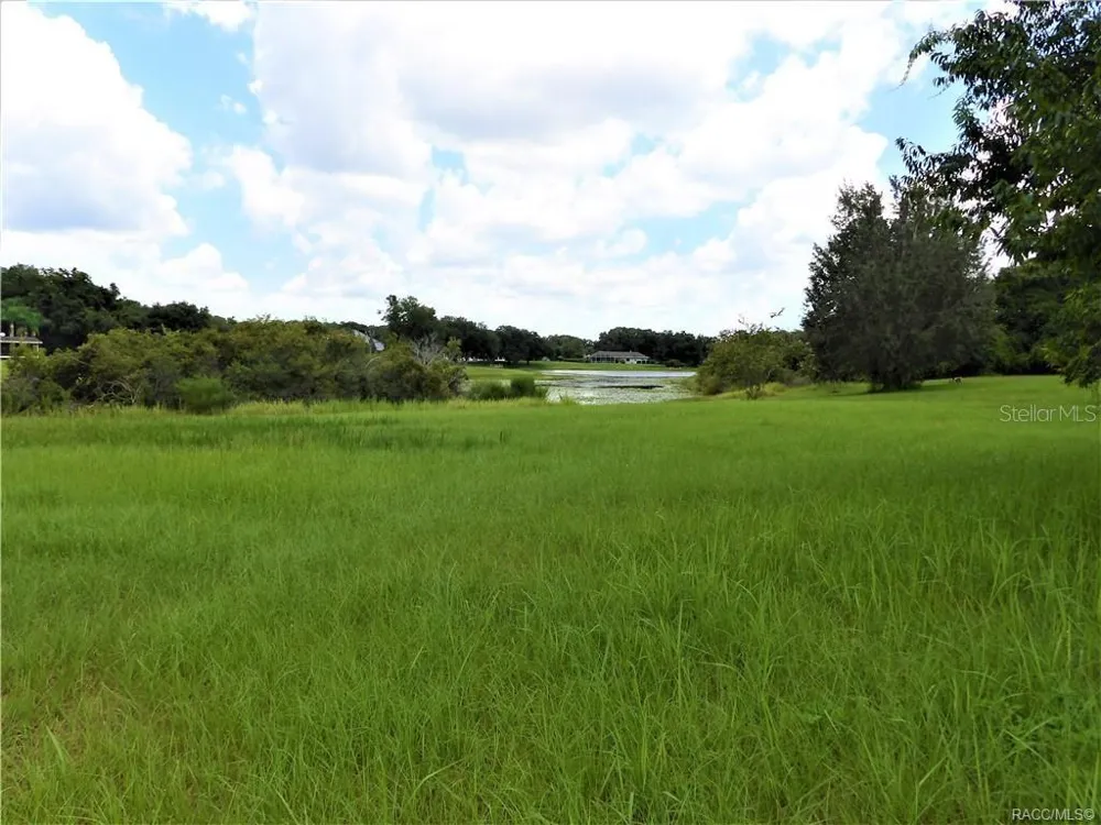 9546 E BAYMEADOWS DRIVE Inverness, FL 34450
