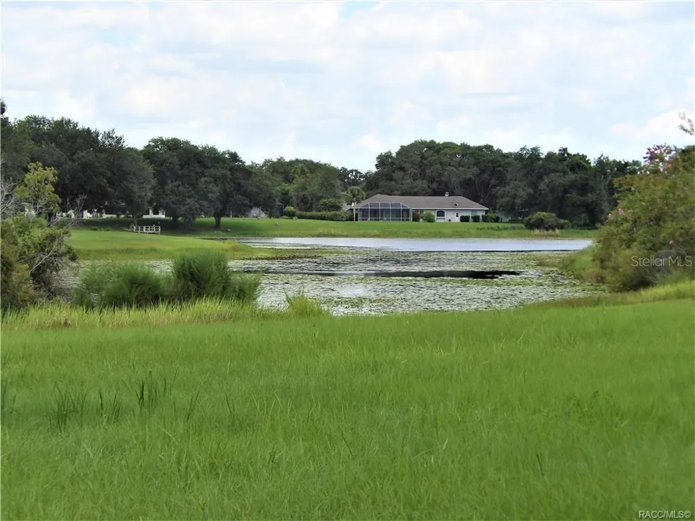 9546 E BAYMEADOWS DRIVE Inverness, FL 34450