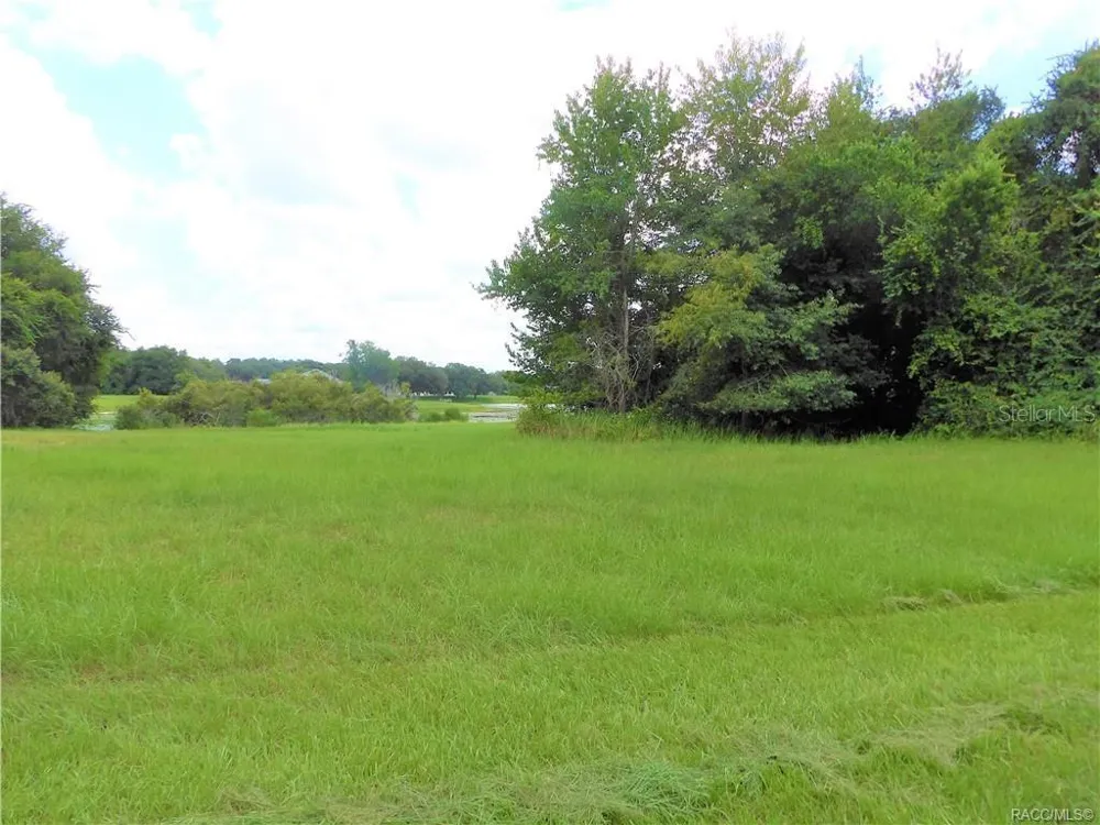 9546 E BAYMEADOWS DRIVE Inverness, FL 34450
