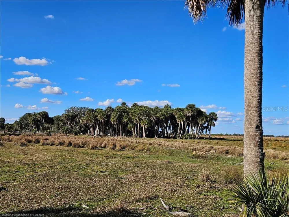 320 GRIGSBY ROAD Venus, FL 33960