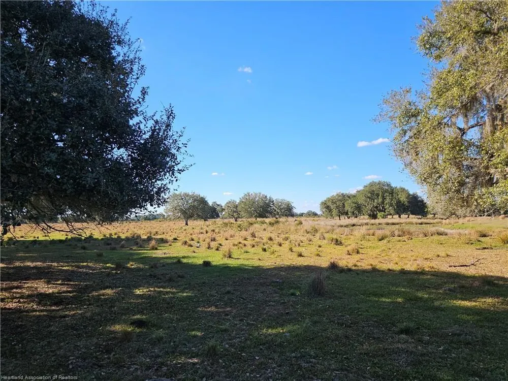 320 GRIGSBY ROAD Venus, FL 33960