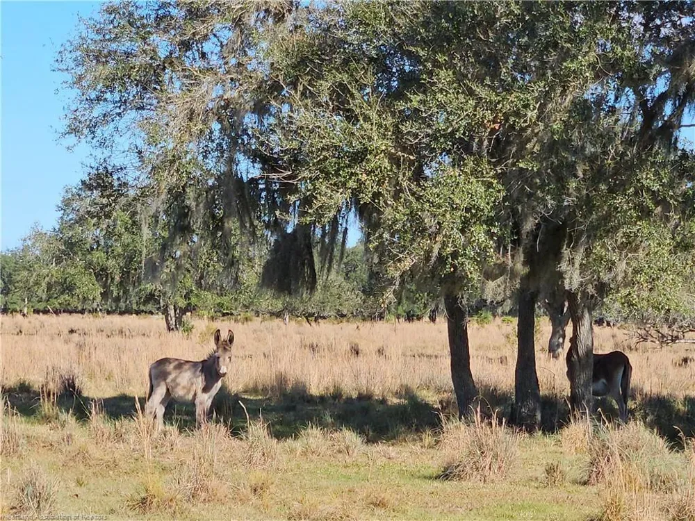 320 GRIGSBY ROAD Venus, FL 33960