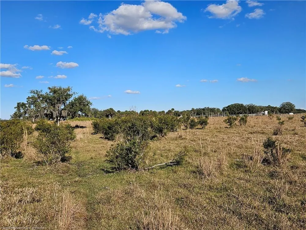 320 GRIGSBY ROAD Venus, FL 33960