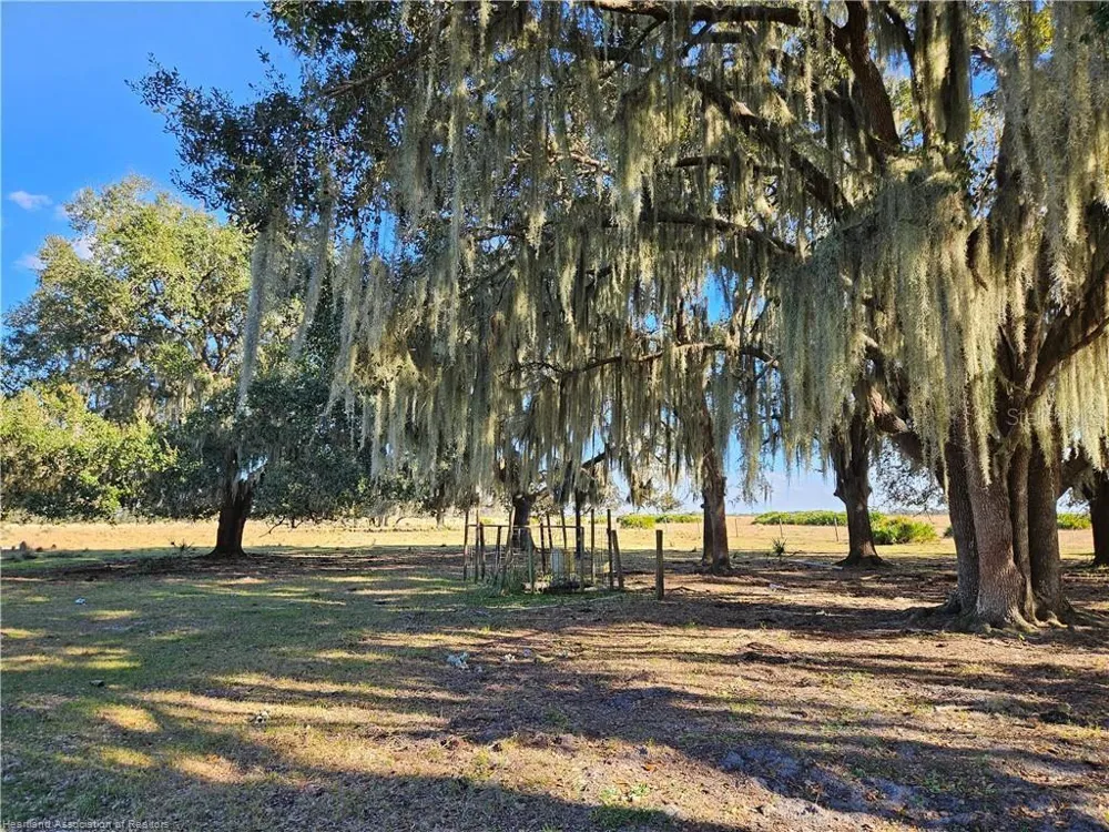 320 GRIGSBY ROAD Venus, FL 33960