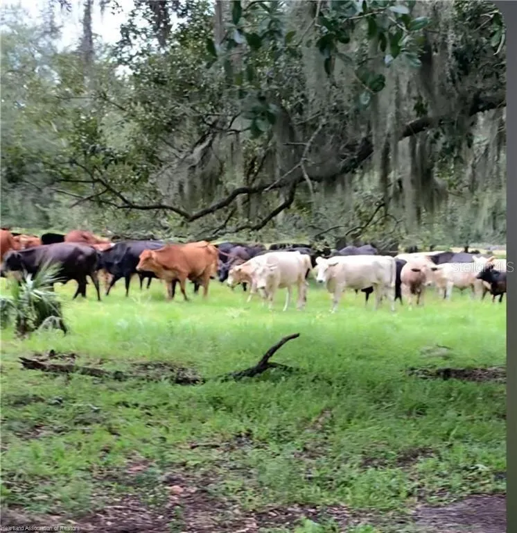 320 GRIGSBY ROAD Venus, FL 33960